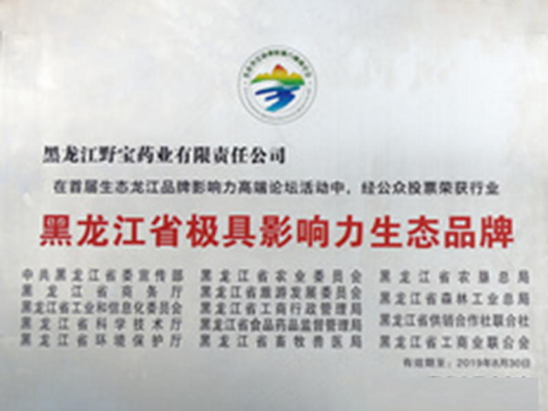 黑龍江省極具影響力生態(tài)品牌